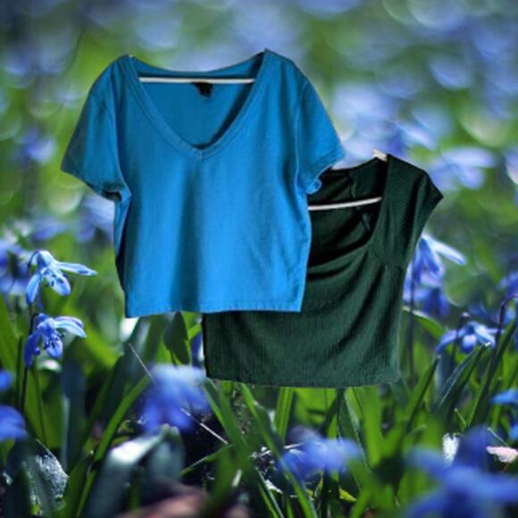 2 crop tops Wild Fable small cotton blend, Shein small poly blend. Both stretch - Picture 1 of 1